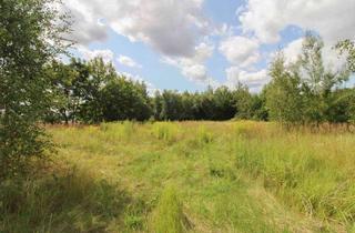 Grundstück zu kaufen in 09127 Adelsberg, Ihr neues zu Hause in sonniger Feldrandlage - zwei große Baugrundstücke in Chemnitz Adelsberg