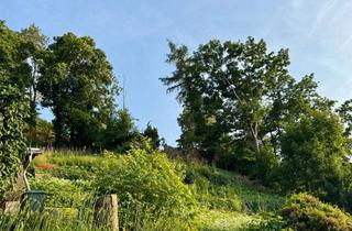 Grundstück zu kaufen in 01662 Meißen, RARITÄT - Grundstück Hanglage in Meißen - Cölln!