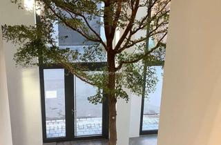 Büro zu mieten in 88239 Wangen, Moderne Büroflächen in der Carderie in Wangen zu mieten