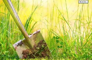 Grundstück zu kaufen in 02708 Schönbach, Grundstück in 02708 Schönbach Einmalig – ProviFrei – Ihre Gelegenheit