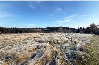 Immobilie kaufen in 84169 Altfraunhofen, Attraktive landwirtschaftliche Fläche in traumhafter Waldrandlage – Holzhäuseln bei Altfraunhofen