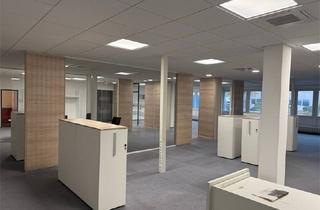 Büro zu mieten in Holzhauser Str. 46, 13509 Berlin, Büro Nähe U- Bhf Holzhauser Str. zu mieten