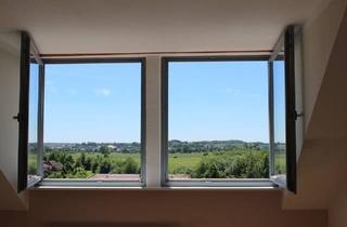 Wohnung kaufen in 38440 Wolfsburg, Wolfsburg - 1 Zi.-Wohnung auf Eigentumsgrundstück mit weitem Blick ins Grüne