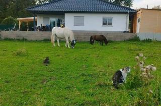 Haus kaufen in 06198 Salzatal, Salzatal - Haus mit PferdehaltungTierhaltung