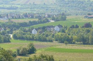 Wohnung kaufen in 55452 Guldental, Guldental - Einzimmerwohnung in Rümmelsheim Nähe Bingen Bad Kreuznach