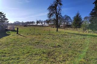 Haus kaufen in 17111 Borrentin, Borrentin - San. bedürft. EFH mit großem Grundstück in ruhiger Lage
