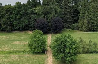 Wohnung mieten in Marktstr 20, 37696 Marienmünster, Wunderschöne 6-Raum-Wohnung zur Miete in Vörden