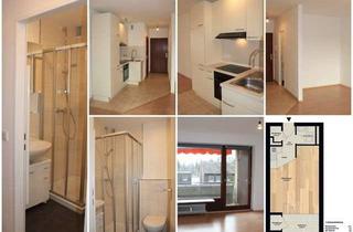 Wohnung mieten in 64546 Mörfelden-Walldorf, ***Ideal für Pendler / Schöne, geräumige 1-Zimmer-Wohnung in Mörfelden-Walldorf***