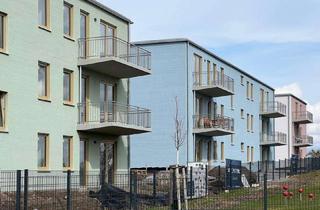 Wohnung mieten in Wolfgang-Knabe-Straße, 16321 Bernau, Neubau-Erstbezug: Süd-West-Dachgeschosswohnung mit Balkon, Stellplatz & Aufzug