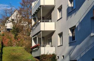 Wohnung mieten in Baiertaler Straße 32, 69168 Wiesloch, Neu Renovierte 3-Zimmer-Wohnung mit Balkon in Wiesloch