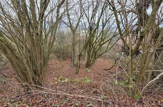 Anlageobjekt in 69412 Eberbach, RUHEOASE ZUM ENTSPANNEN