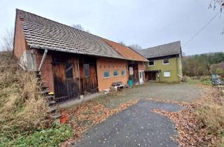 Haus kaufen in 36284 Hohenroda, Für kreative Köpfe: Zweifamilienhaus mit Scheune in Hohenroda/ Glaam *PROVISIONSFREI*