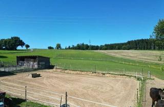 Haus kaufen in 91281 Kirchenthumbach, Reiterparadies & Mehr: Großzügiges Anwesen mit Hallen, Sandreitplatz und Ausbaupotenzial