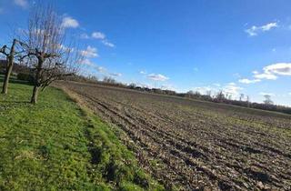 Haus kaufen in 49429 Visbek, Traumhafter Resthof, modernisiert, vielseitig nutzbar auf 6700 qm großem Grundstück.