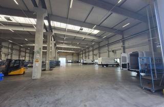 Büro zu mieten in Industriestraße 19, 67063 Friesenheim/Nord, Moderne Logistikhalle mit Büro- und Sozialflächen in Ludwigshafen – flexibel anmietbar