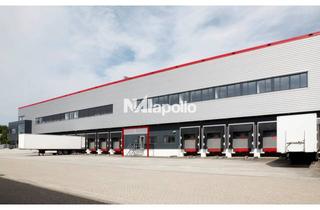 Gewerbeimmobilie mieten in 65451 Kelsterbach, 1300m² Lagerfläche | Bezug: Q4 2026 | Flughafennähe | Rampen und ebenerdiges Tor