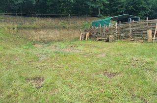 Grundstück zu kaufen in 45527 Hattingen, Grünland, landwirtschaftliche Fläche