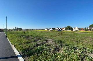 Grundstück zu kaufen in Urmelstraße, 86165 Lechhausen, Verkauf von 16 städtischen Baugrundstücken