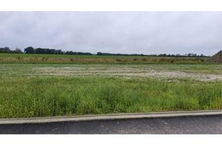 Grundstück zu kaufen in Mühlenring 52, 38554 Weyhausen, 725m² Baugrundstück in Weyhausen - Mühlenring - Feldrandlage - Ideale Anbindung nach Wolfsburg!