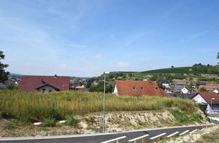 Grundstück zu kaufen in 79364 Malterdingen, Baugrundstück für ein Einfamilienhausin Aussichtslage