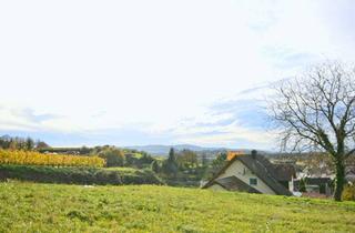 Grundstück zu kaufen in 79364 Malterdingen, Baugrundstück für ein EFH in Aussichtslage