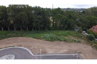 Grundstück zu kaufen in 06449 Aschersleben, Smart ins Eigenheim – mit ScanHaus & Fördermöglichkeiten in Aschersleben