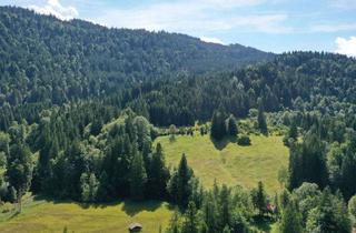 Grundstück zu kaufen in 82467 Garmisch-Partenkirchen, Wo Ideen Wurzeln schlagen