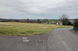 Grundstück zu kaufen in 57589 Niederirsen, Baugrundstück in ruhiger, idyllischer Gegend, ebenerdig, nur leichter Hang!