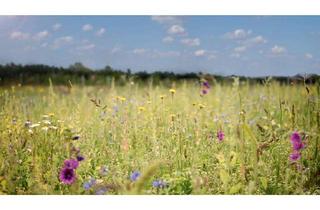 Grundstück zu kaufen in Roermonder Straße 110, 41379 Brüggen, Seltene Gelegenheit: Traumgrundstück in Brüggen!