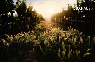 Grundstück zu kaufen in 65817 Eppstein, Tolles Baugrundstück für DHH in Eppstein/ Main-Taunus-Kreis in attraktiver, Frankfurt-naher Lage!