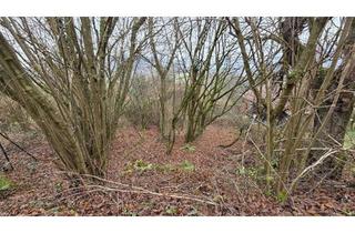 Grundstück zu kaufen in 69412 Eberbach, RUHEOASE ZUM ENTSPANNEN