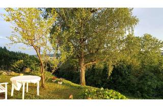 Immobilie mieten in 71723 Großbottwar, WG