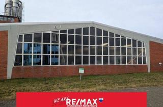 Geschäftslokal mieten in 27386 Hemsbünde, Warmhalle mit Büro und Stellplätzen