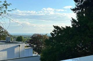 Wohnung mieten in Schau Ins Land 22, 51429 Bergisch Gladbach, Luxuriöse, neuwertige Wohnung in Bestlage von Bensberg mit Einbauküche, Klimaanlage und Balkon