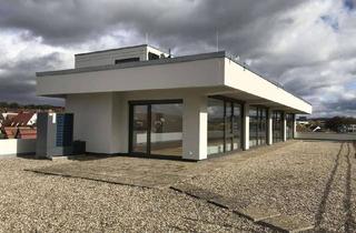 Penthouse mieten in 71063 Sindelfingen, Penthouse Wohnung in Sindelfingen