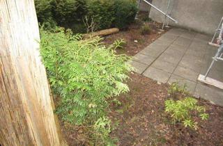 Sozialwohnungen mieten in Grotenbachstr. 78, 44225 Hombruch, Nur mit WBS !! und Personen ab 50 Jahren!!