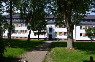 Wohnung mieten in Zillestraße, 38442 Fallersleben, ***Erstbezug nach Modernisierung - charmante 3-Zimmer-Wohnung im Dachgeschoss ohne Balkon***