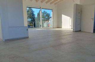 Lofts mieten in 74321 Bietigheim-Bissingen, Loftähnliches Dachgeschoß, Blick ins Grüne und über die Stadt