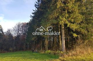 Grundstück zu kaufen in 91220 Hormersdorf, Wald mit kleinem Wiesen und Ackergrundstück