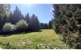 Grundstück zu kaufen in 14513 Teltow, Viel Privatsphäre - ca. 1.500 m² Baugrundstück am Park vom Musikerviertel von Teltow