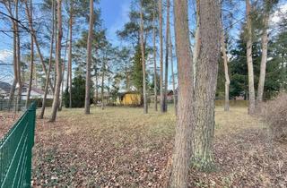 Grundstück zu kaufen in 16515 Oranienburg, Bauträgerfreies Baugrundstück - ruhige Wohnlage - Oranienburg Süd