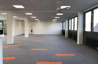 Büro zu mieten in 71063 Sindelfingen, Bürofläche in Sindelfingen