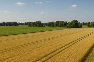 Gewerbeimmobilie mieten in 16559 Liebenwalde, Landwirtschaftliche Nutzflächen zur Verpachtung Gemarkung Liebenthal, Gemeinde Heiligengrabe