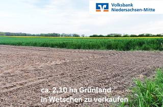 Immobilie kaufen in 49453 Wetschen, Gemarkung Wetschen:Grünland zu verkaufen!