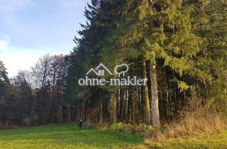 Immobilie kaufen in 91220 Hormersdorf, Wald mit kleinem Wiesen und Ackergrundstück