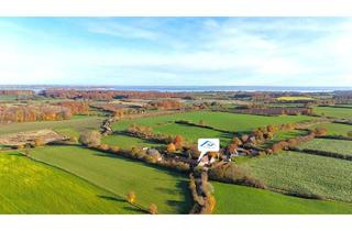 Haus kaufen in 24989 Dollerup, Dollerup - Neu errichteter Resthof mit 2 Wohneinheiten und Wiese