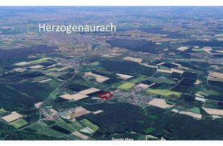 Haus kaufen in 91085 Weisendorf, Weisendorf - Haus verkauf - Weisendorf - Buch - Bungalow 723 qm