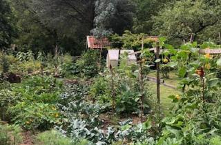 Haus kaufen in 75181 Pforzheim, Pforzheim - Schönes Garten- und Freizeitgrundstück an der Nagold zu verkaufen