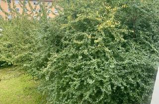 Wohnung kaufen in 38226 Salzgitter, Salzgitter - Bezugsfreie Eigentumswohnung, 2-Zimmerwohnung, 50m², Lebenstedt!