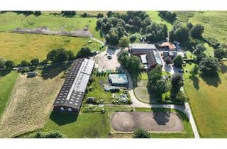 Haus kaufen in 24976 Handewitt, Handewitt - Reitanlage Reiterhof direkt vor den Toren von Flensburg